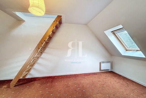 pomel_00021-26894-0.jpg