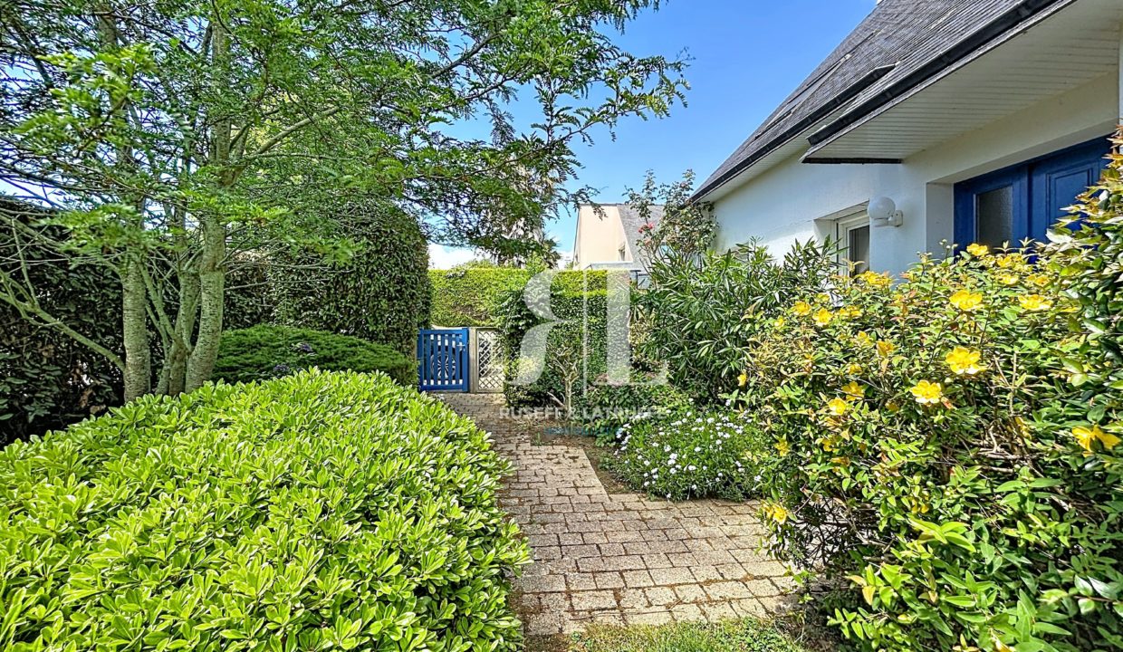 grehaigne_00031-106344-0.jpg