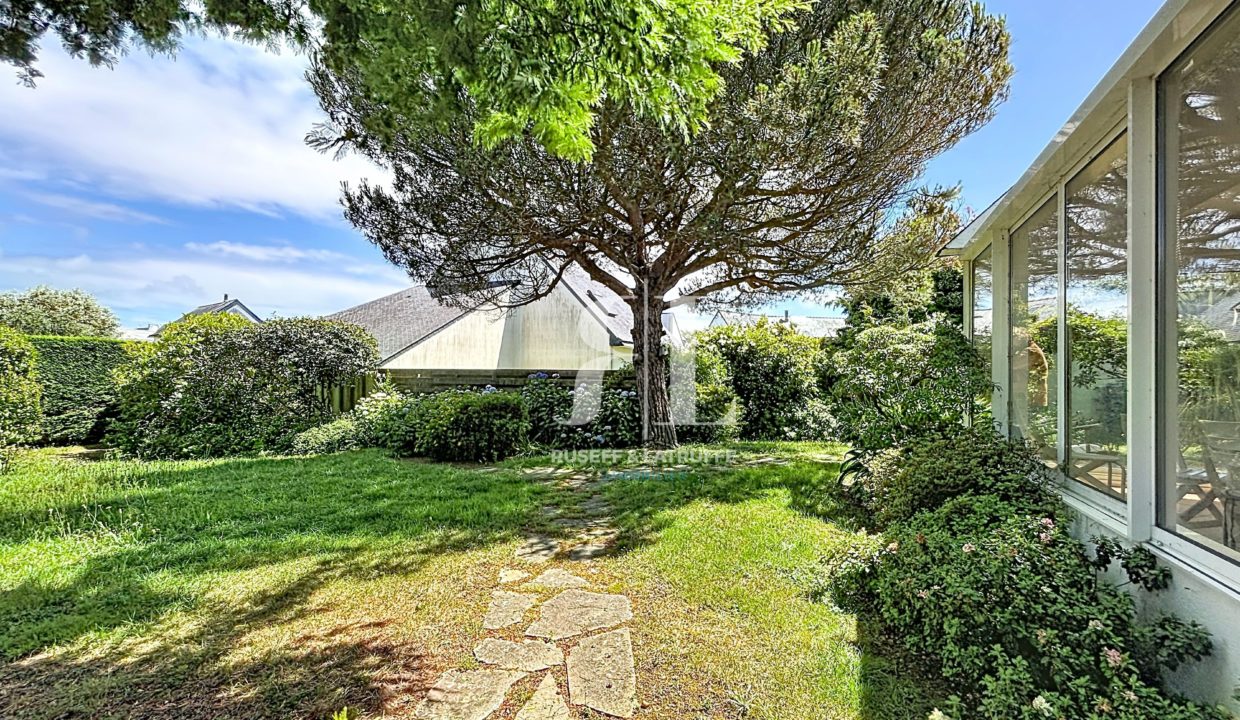 grehaigne_00036-106344-0.jpg