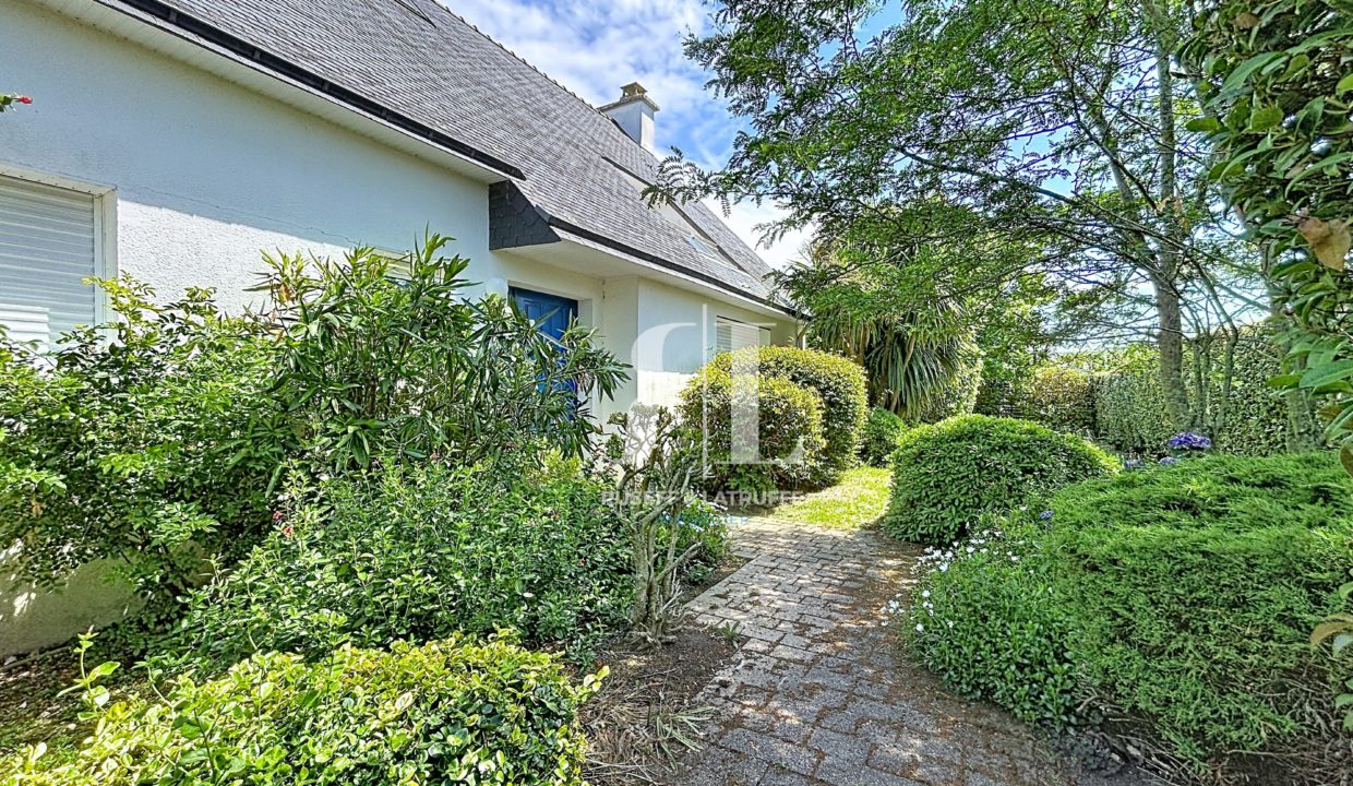 grehaigne_00039-106344-0.jpg
