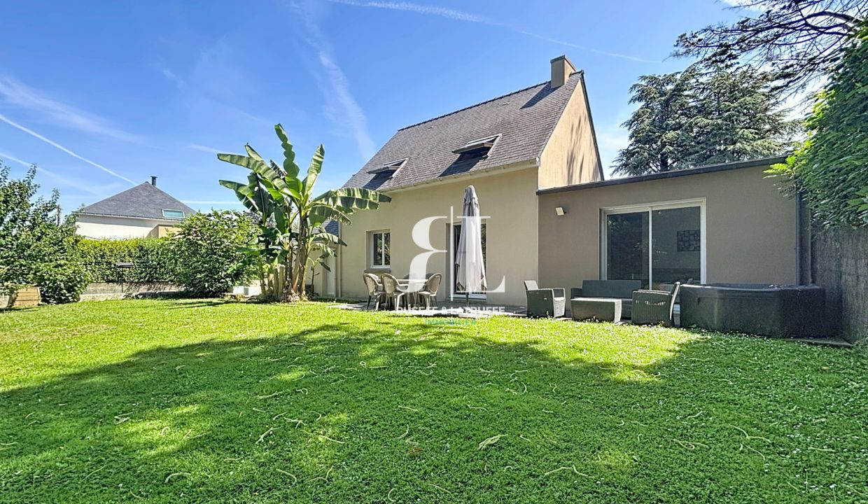 hamon_00031-122367-0.jpg