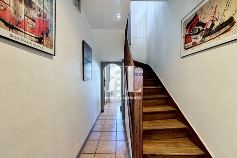 petit_00043-123719-0.jpg