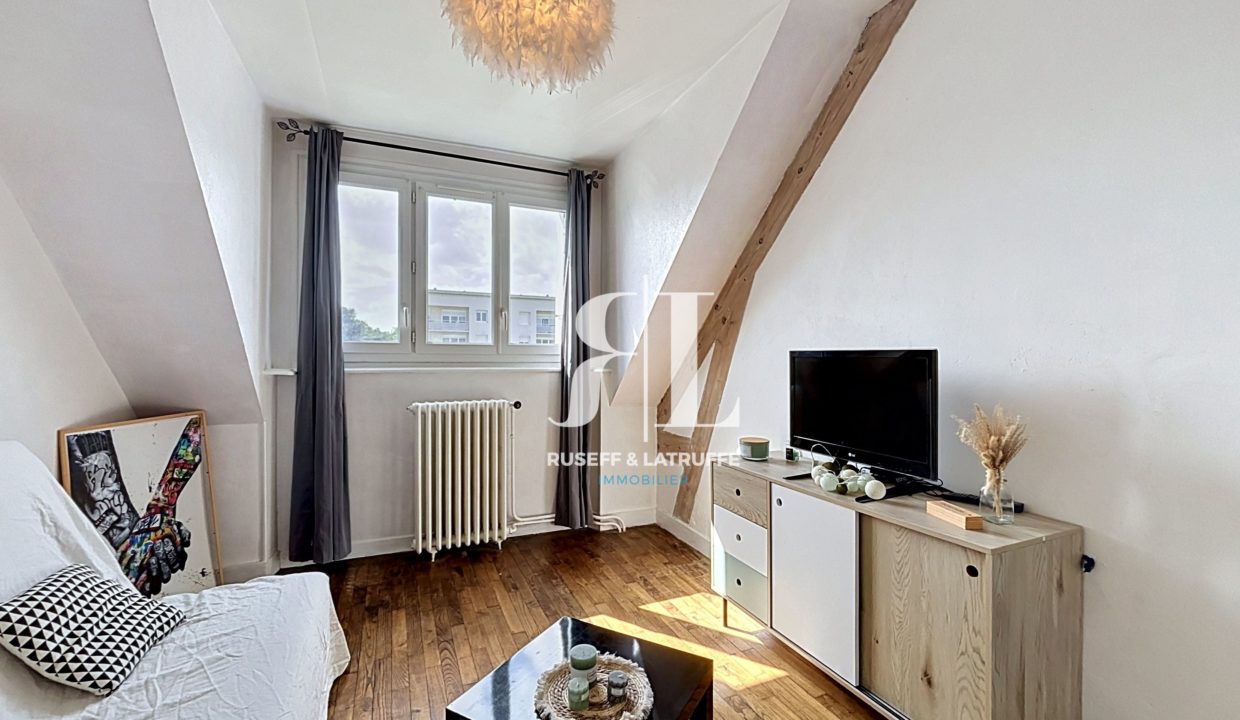 petit_00050-123719-0.jpg