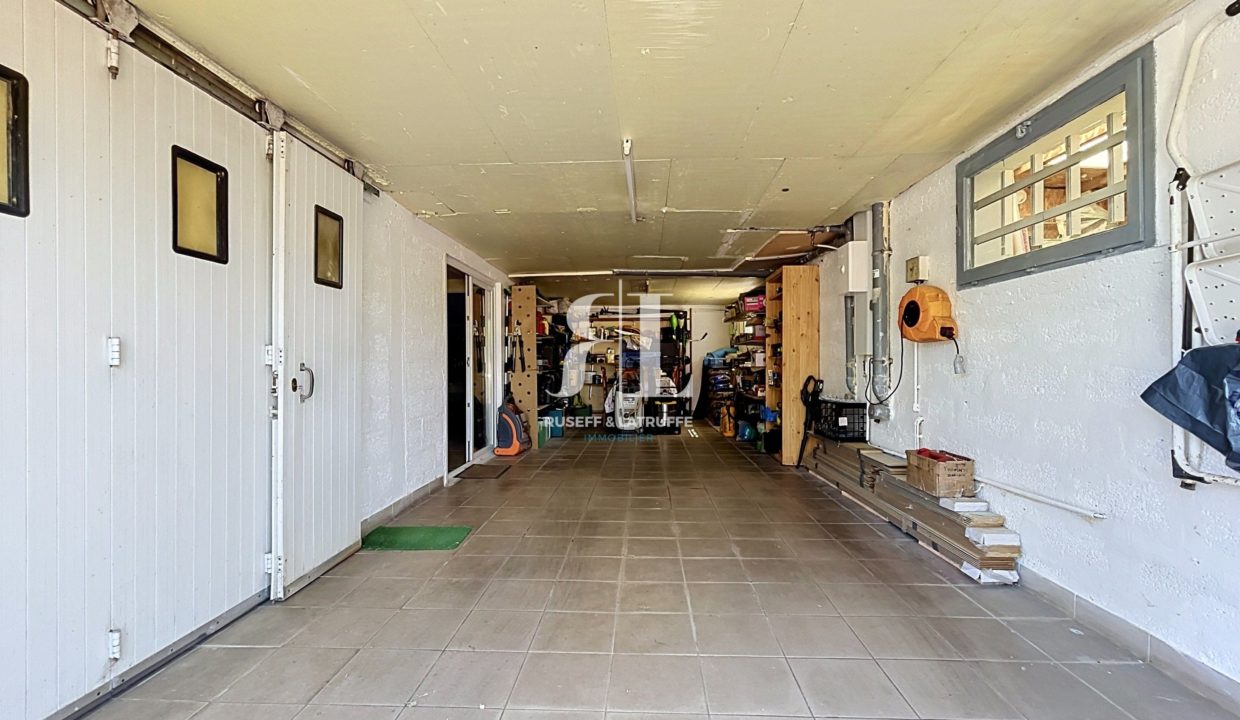 thomas_00010-126992-0.jpg