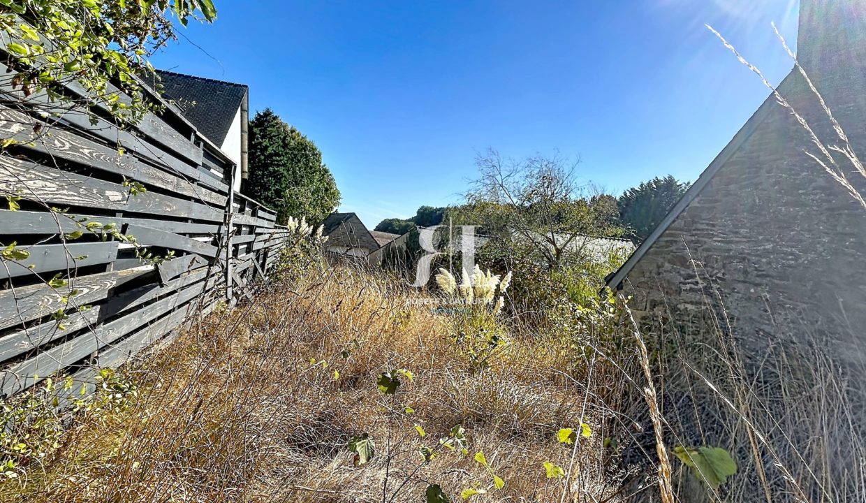 00007-128442-0.jpg